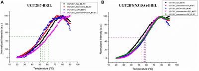Integrate thermostabilized fusion protein apocytochrome b562RIL and N-glycosylation mutations: A novel approach to heterologous expression of human UDP-glucuronosyltransferase (UGT) 2B7